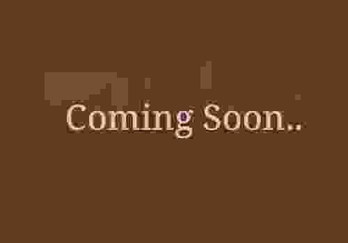 Mega Menu img-4