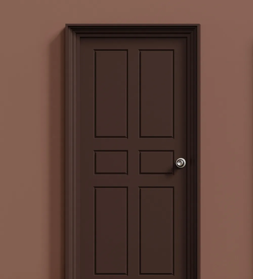 Entrance Doors